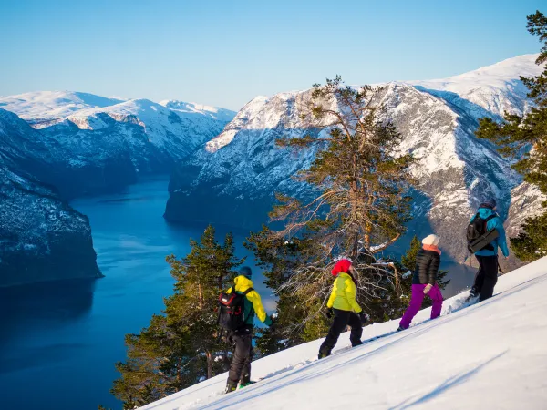 Snowshoe hike